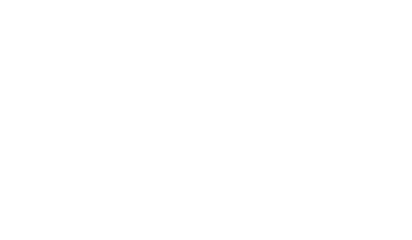 Paloalto