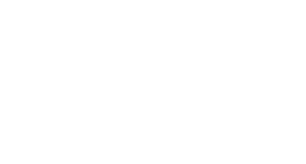 Verizon