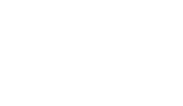 Verizon