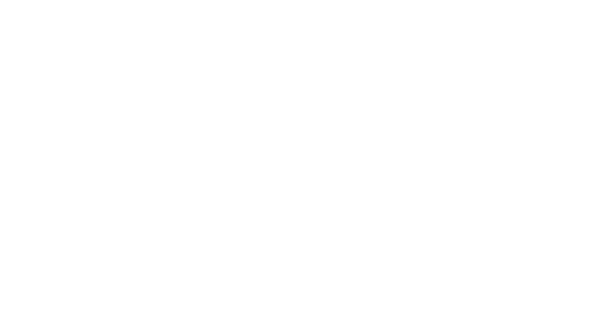 BNI | Creation DMC